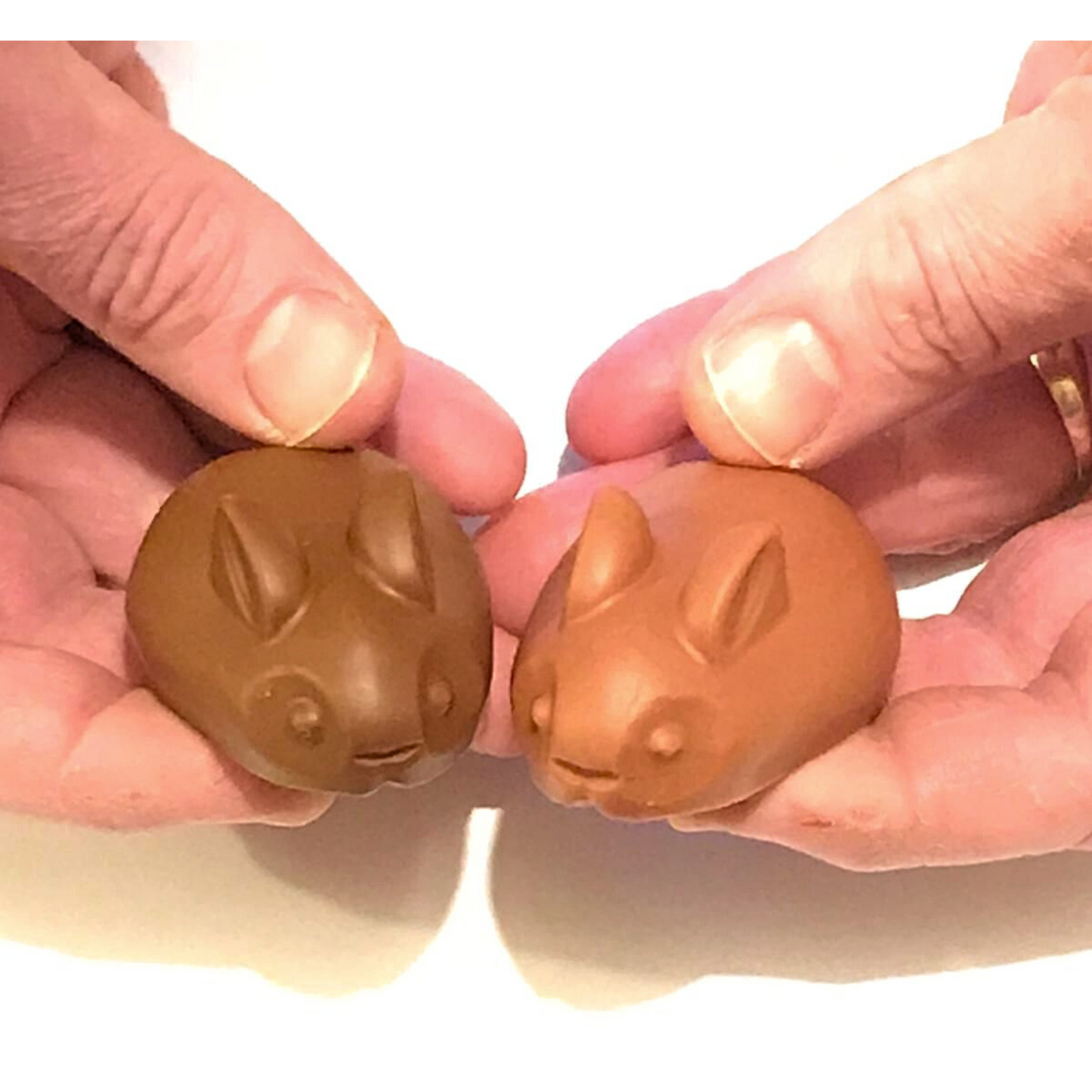 Baby Bunnies